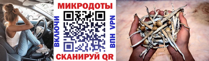 Псилоцибиновые грибы мицелий Можга