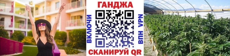 Конопля семена Купить закладки Можга